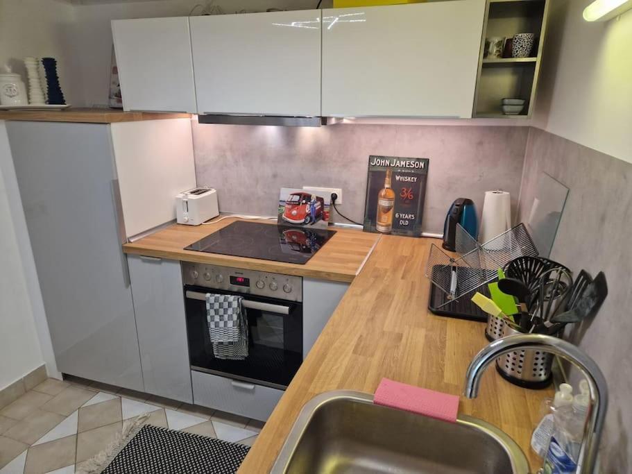 Haus Mit Garten, U Bahn Naehe, Gratis Parkplaetze Ferienhaus Wien