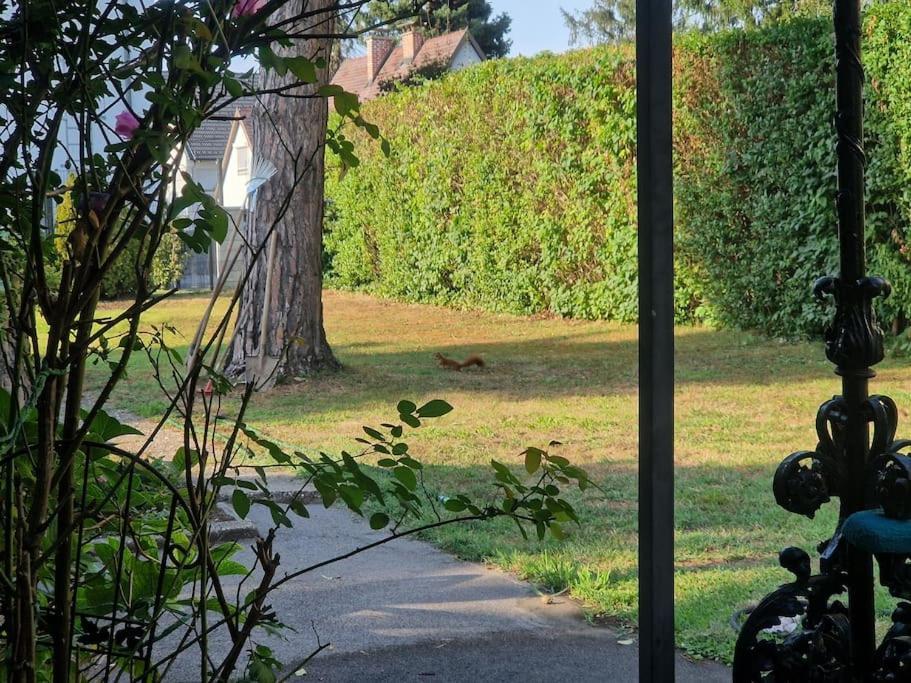 Ferienhaus Haus Mit Garten, U Bahn Naehe, Gratis Parkplaetze *